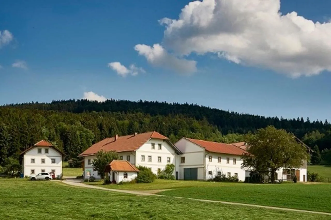 Der Breinhof - Euer Urlaubsbauernhof Apartment Waldkirchen